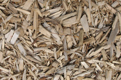 biomass boilers Ardtun