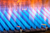Ardtun gas fired boilers